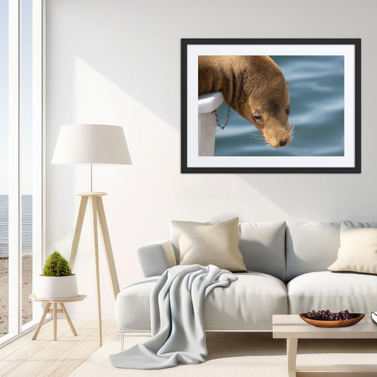 Harbor Eyes (Matted Print)