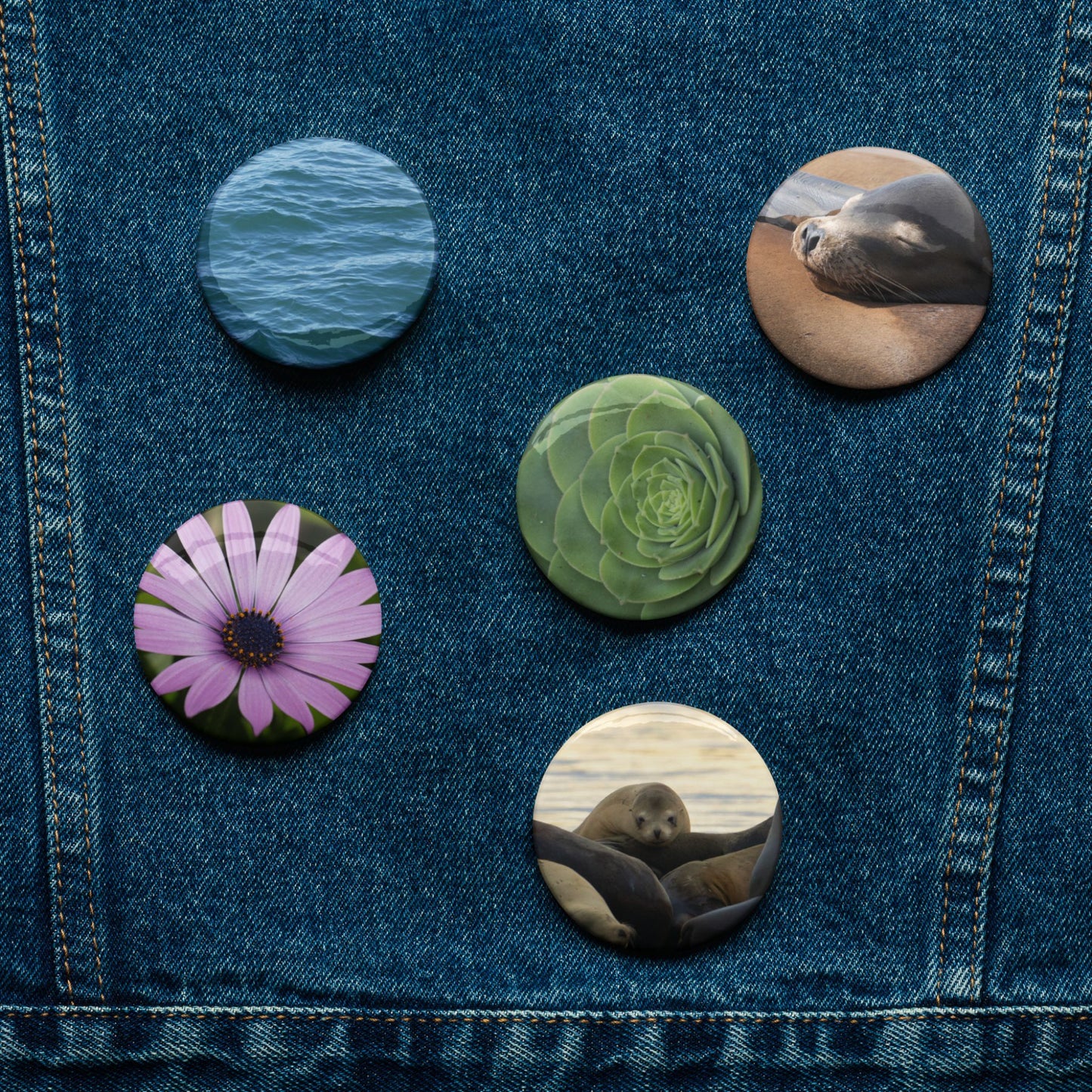 Pin Set: Shoreline