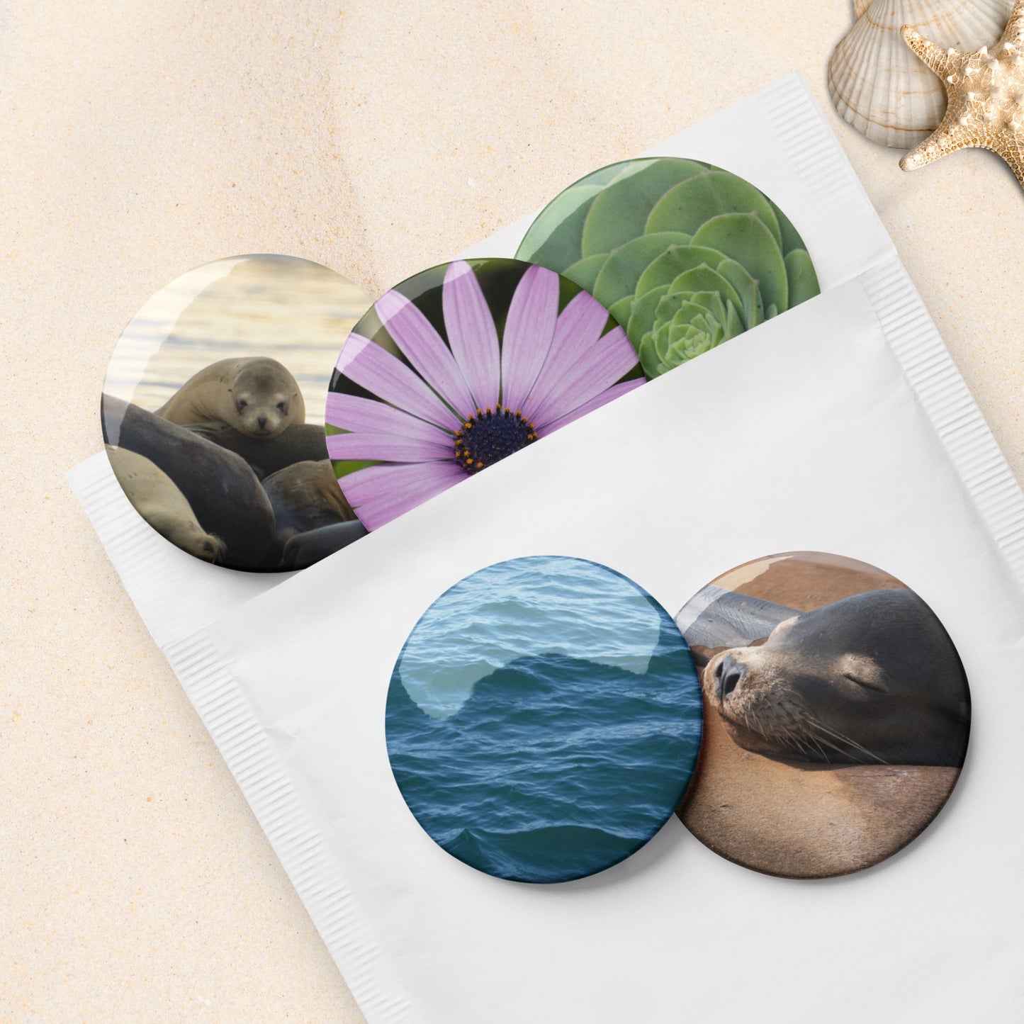 Pin Set: Shoreline
