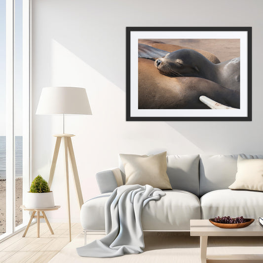 Coastal Cuddle (Matted Print)