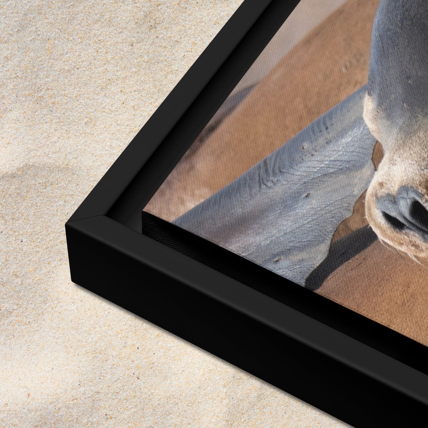 Framed Canvas: Coastal Cuddle