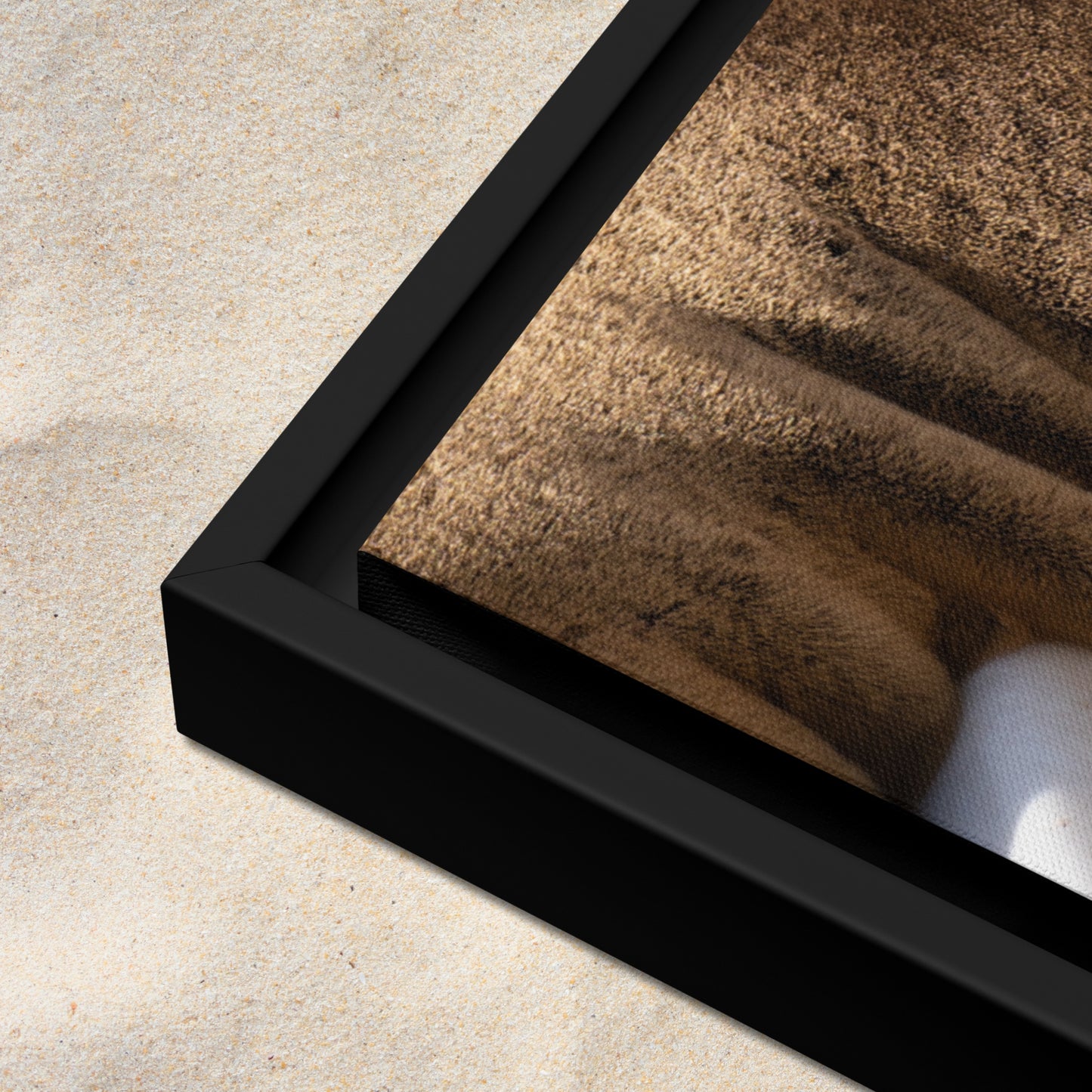 Framed Canvas: Harbor Eyes