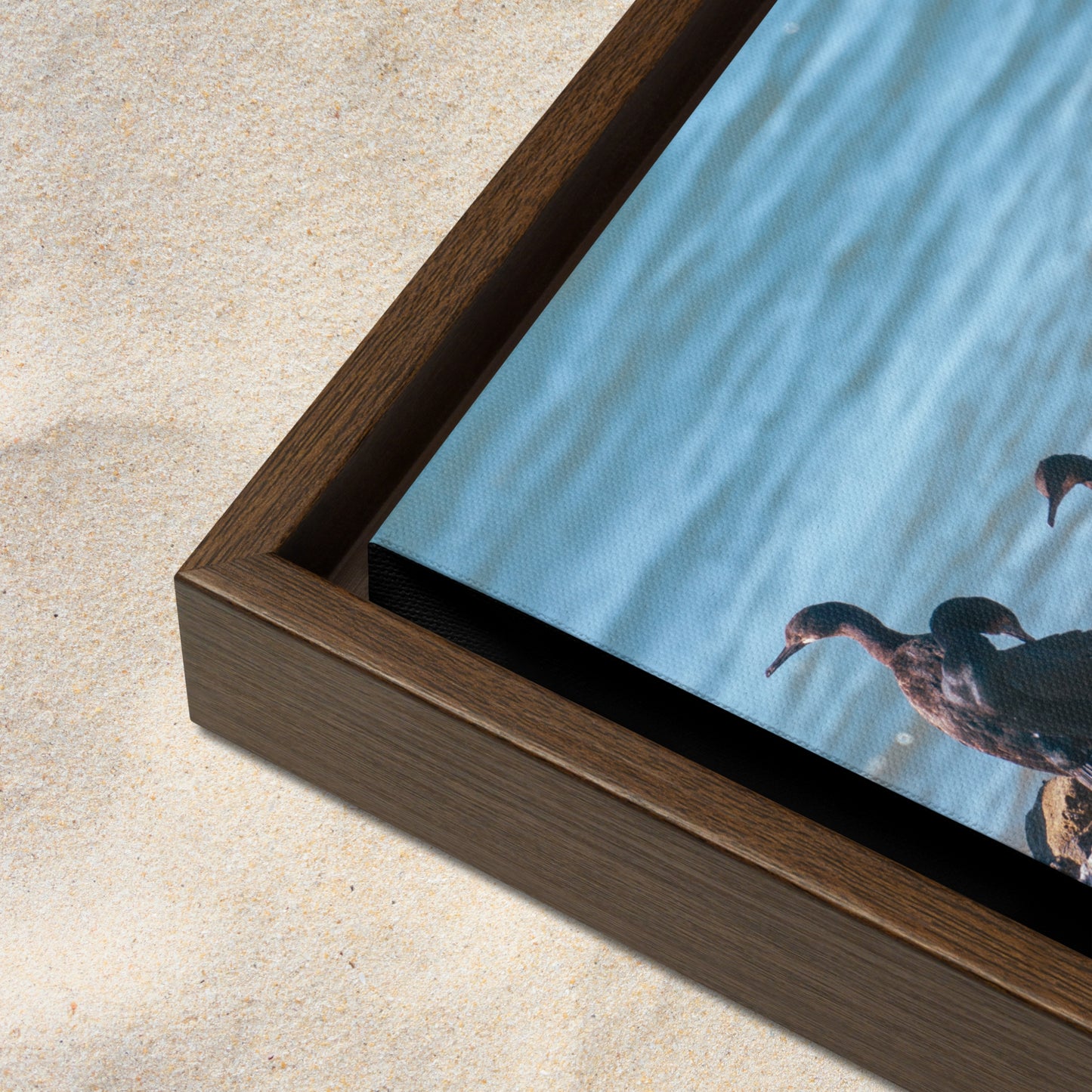 Framed Canvas: Feathered Gathering