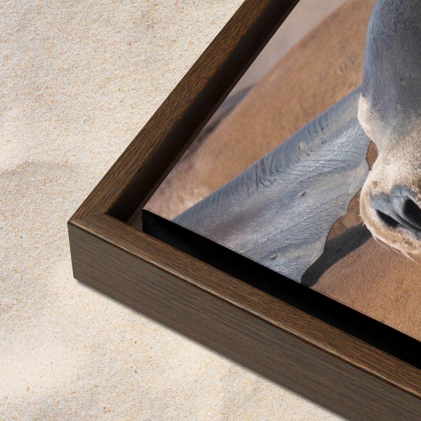 Framed Canvas: Coastal Cuddle