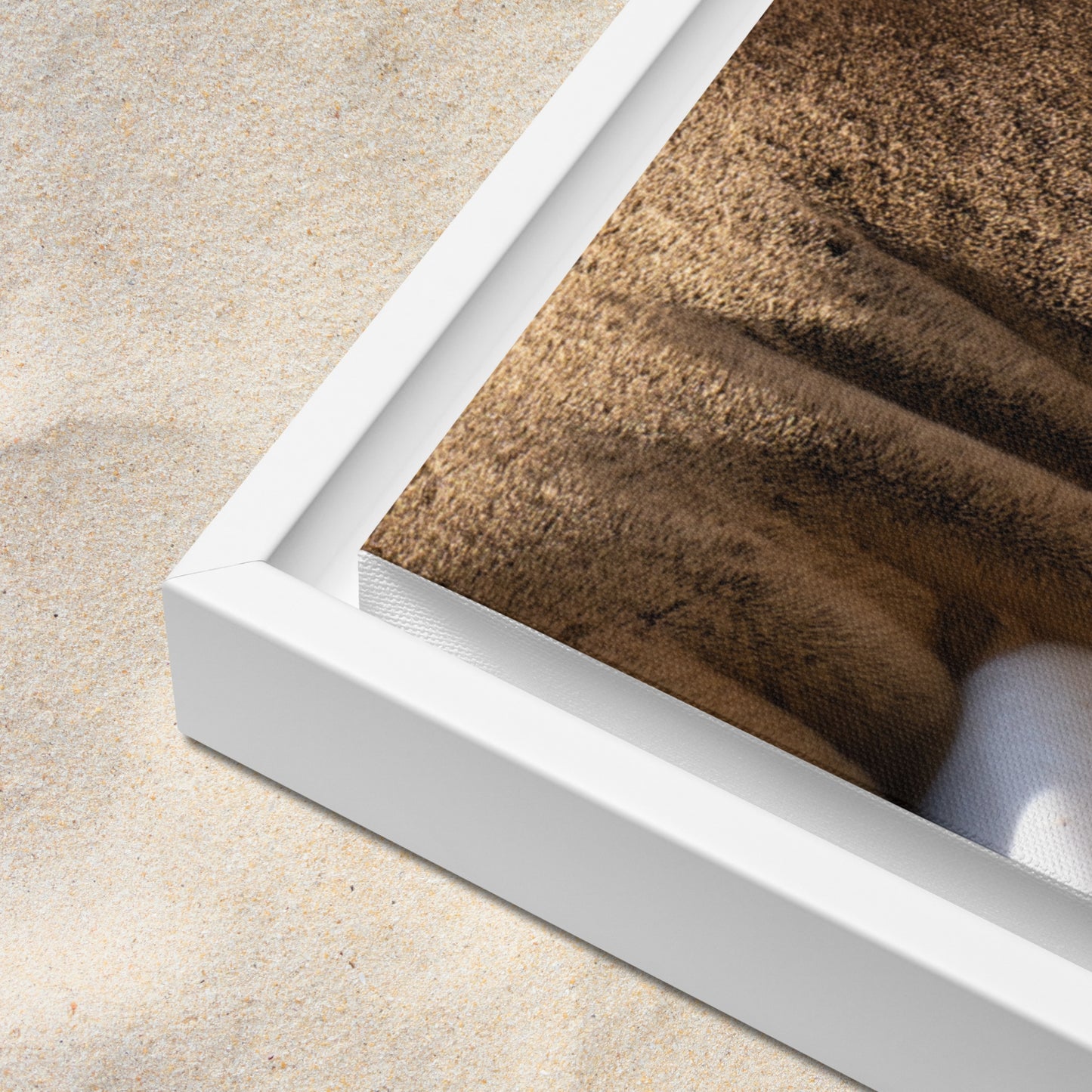 Framed Canvas: Harbor Eyes