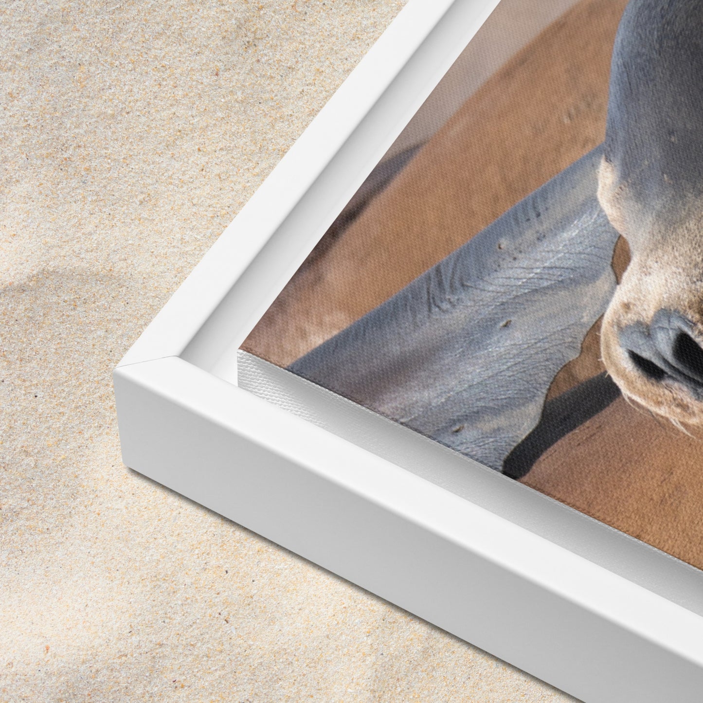 Framed Canvas: Coastal Cuddle