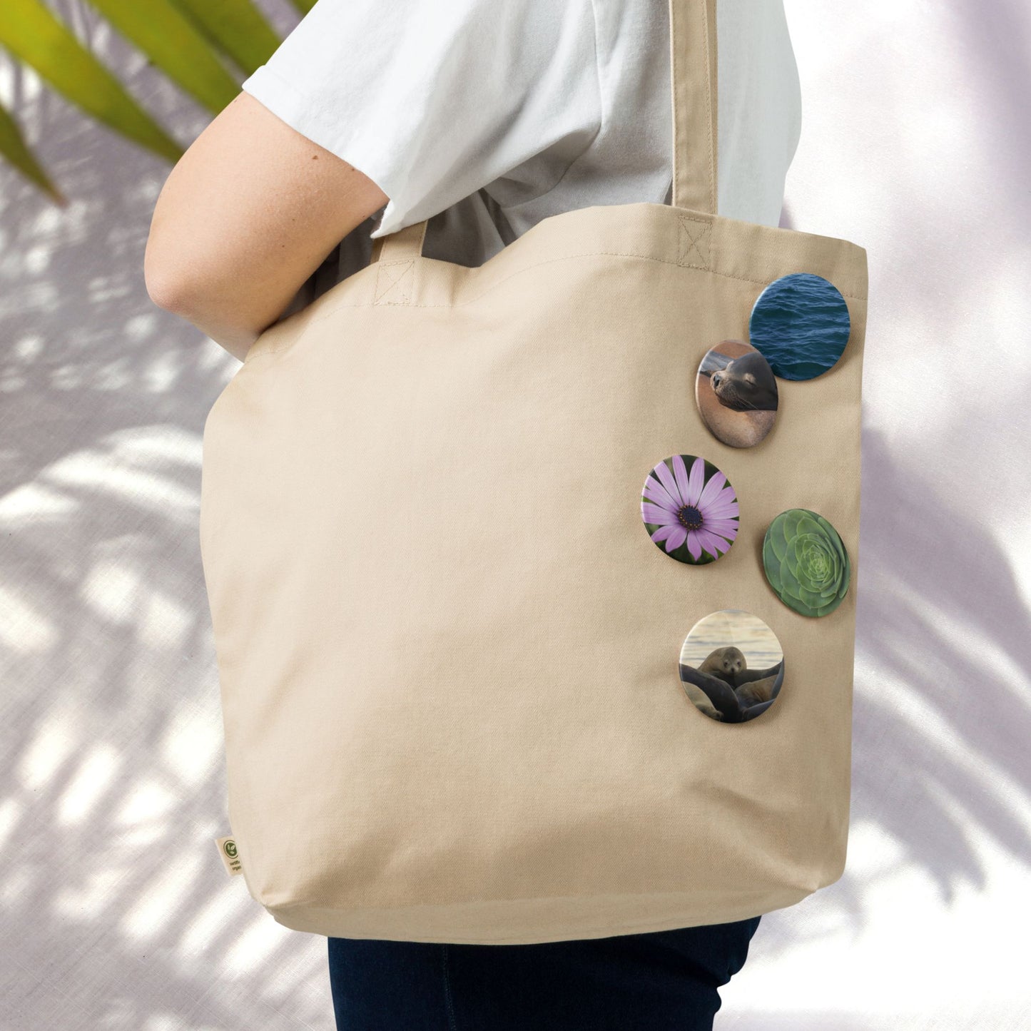 Pin Set: Shoreline