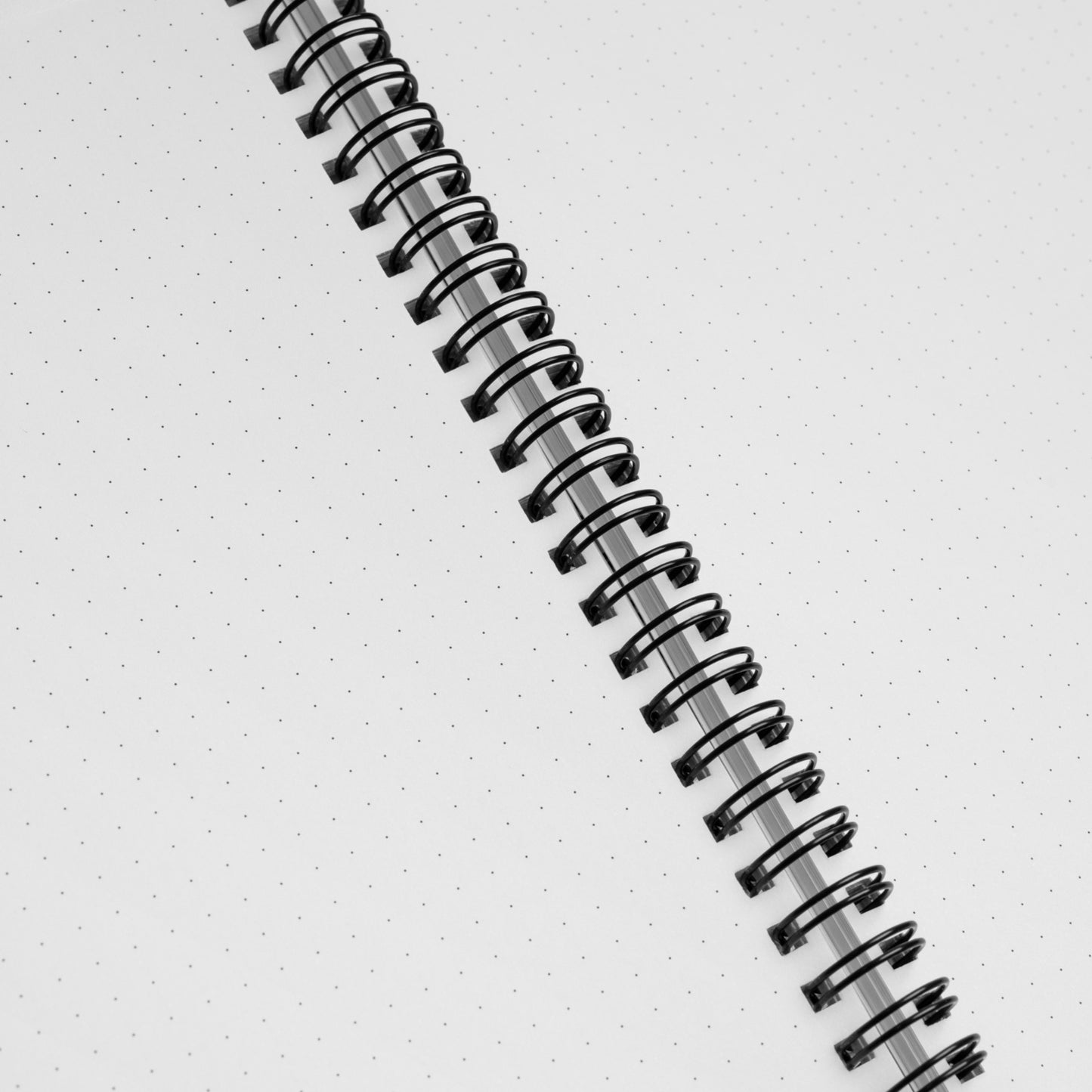 Spiral Notebook: Pelagic Pals in Mermaid Fade