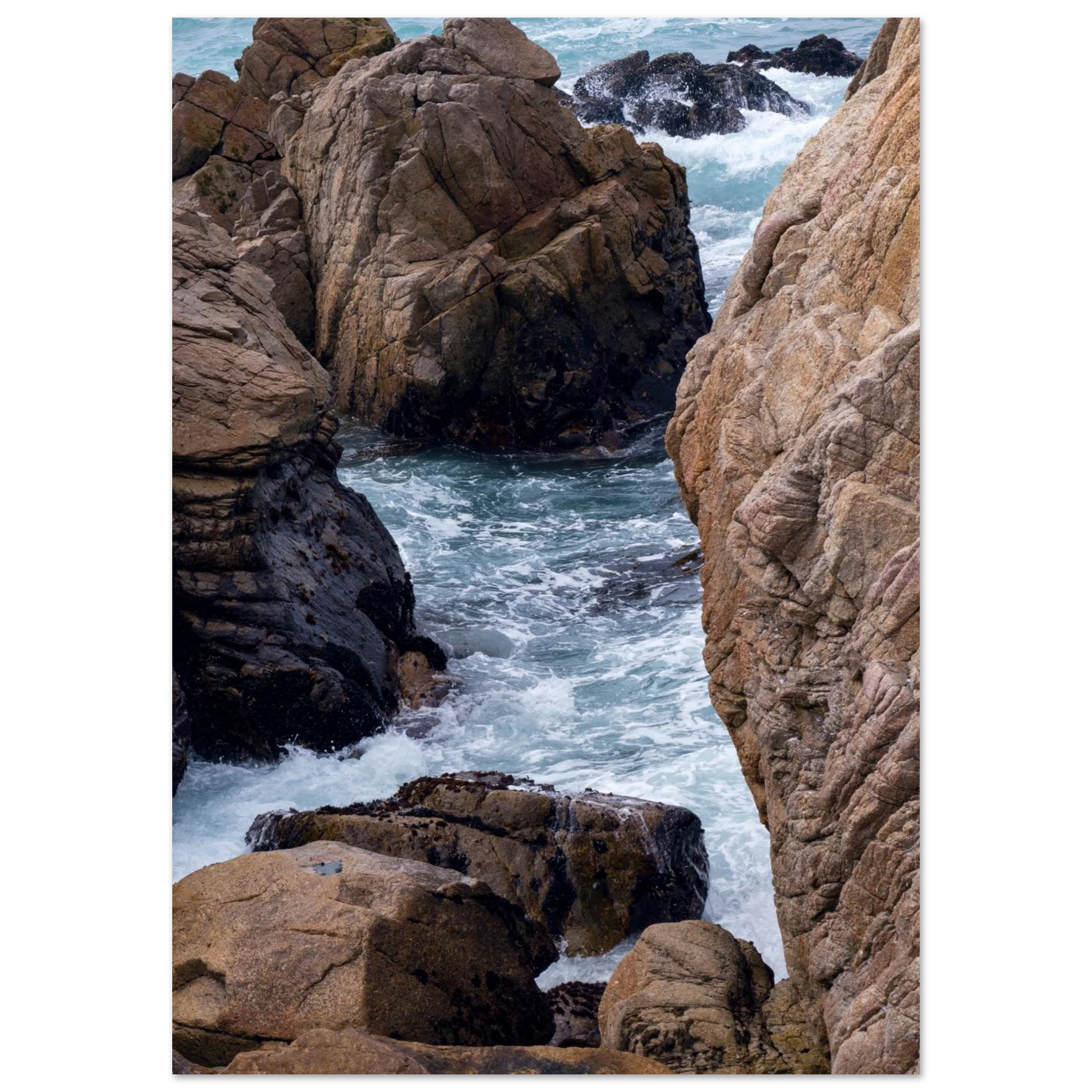 a7710dab-d8a5-4d74-8b25-7ad02009cc61