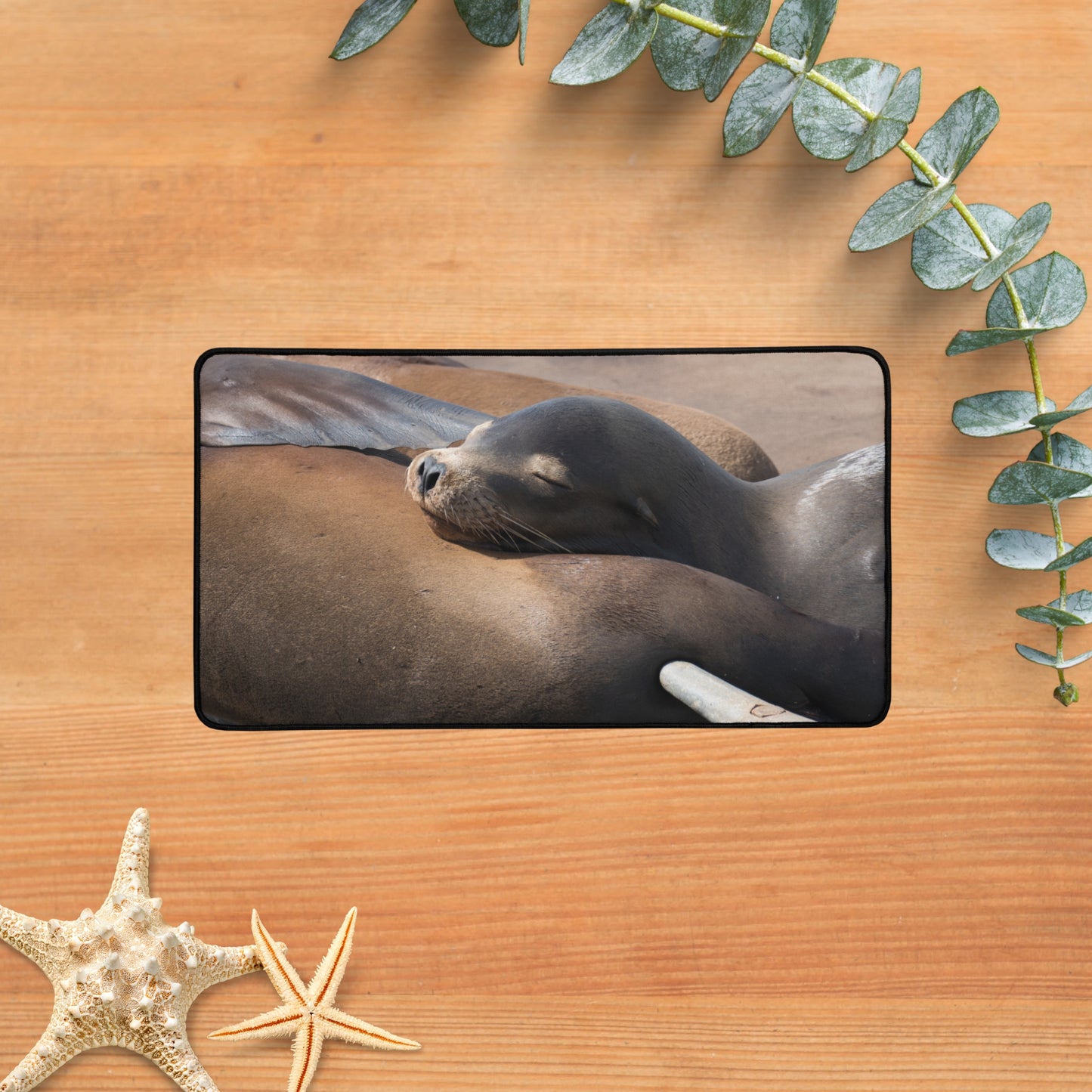 Desk Mat: Coastal Cuddle