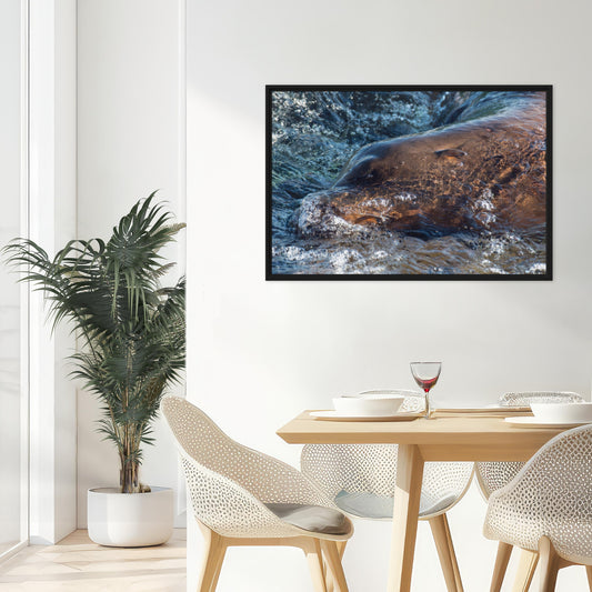 Under Light (Framed Canvas)