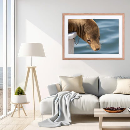 Harbor Eyes (Matted Print)