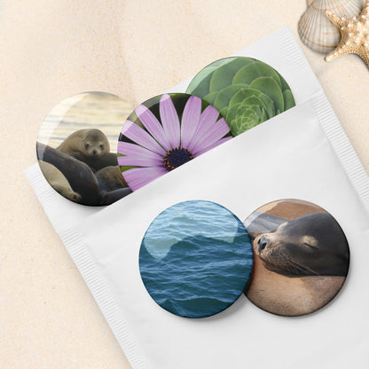 Pin Set: Shoreline