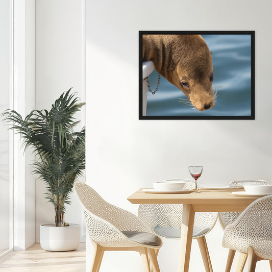 Framed Canvas: Harbor Eyes