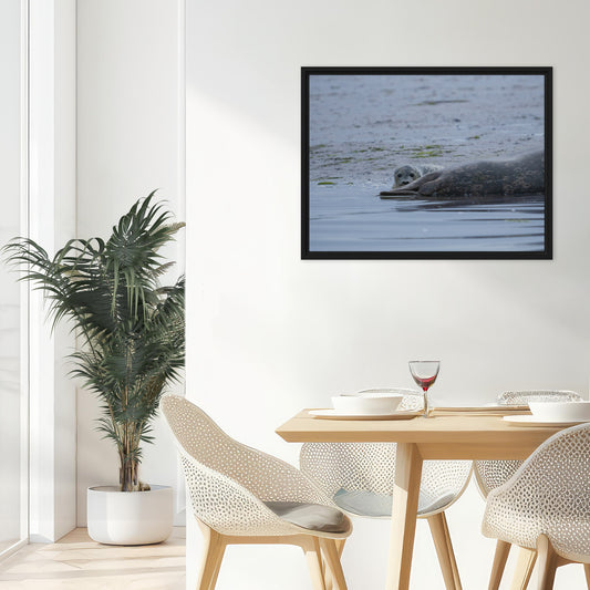 Framed Canvas: The Lookout