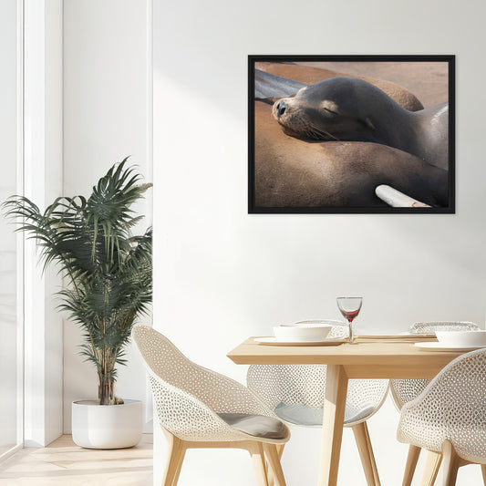 Framed Canvas: Coastal Cuddle