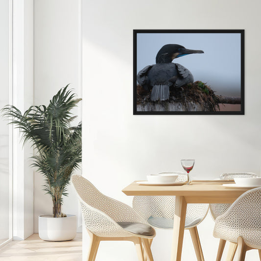 Framed Canvas: Resting Signal