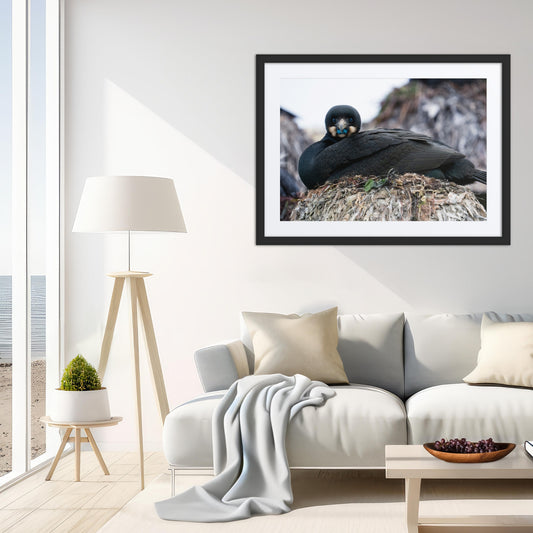 Framed Print with Mat: The Watchful One