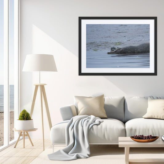 Framed Print with Mat: The Lookout