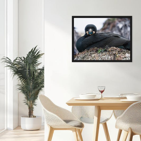 Framed Canvas: The Watchful One