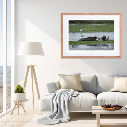 Framed Print with Mat: Seal It With A Kiss