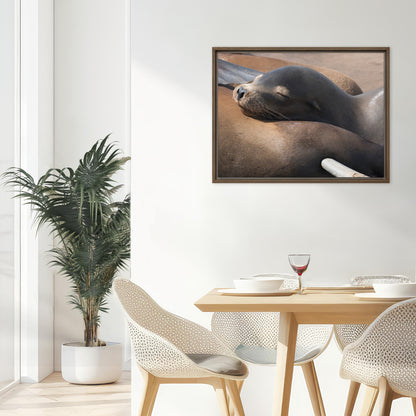 Framed Canvas: Coastal Cuddle