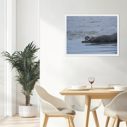 The Lookout (Framed Canvas)