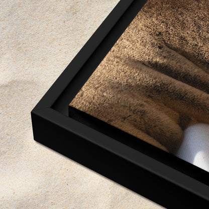 Framed Canvas: Harbor Eyes