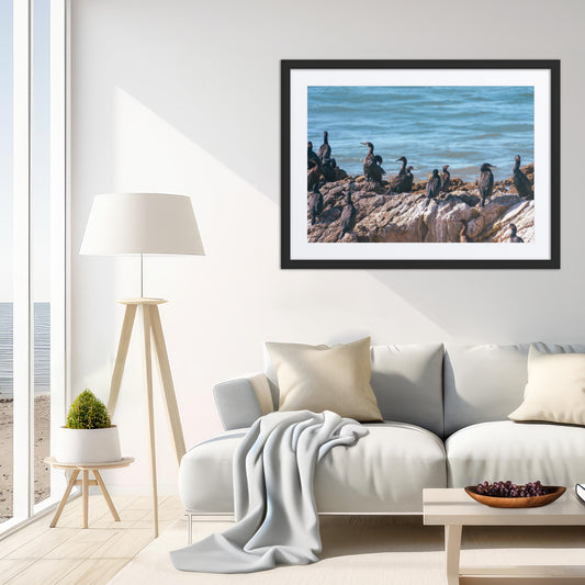 Framed Print with Mat: Feathered Gathering