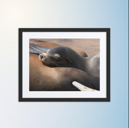Coastal Cuddle (Matted Print)