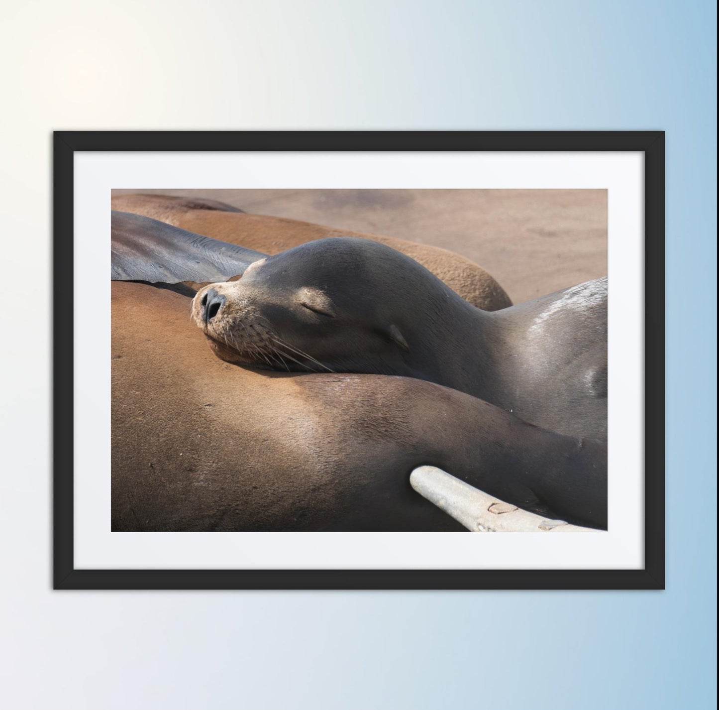 Coastal Cuddle (Matted Print)