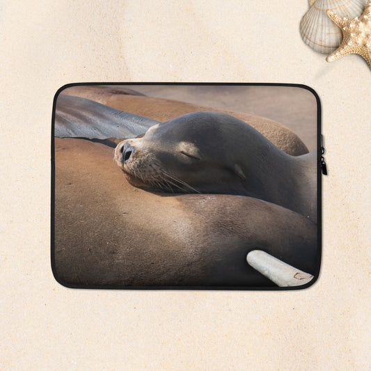 Laptop Sleeve: Coastal Cuddle