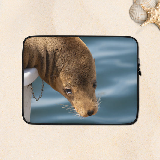 Laptop Sleeve: Harbor Eyes