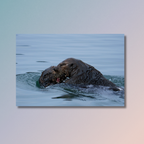 Tidal Tension