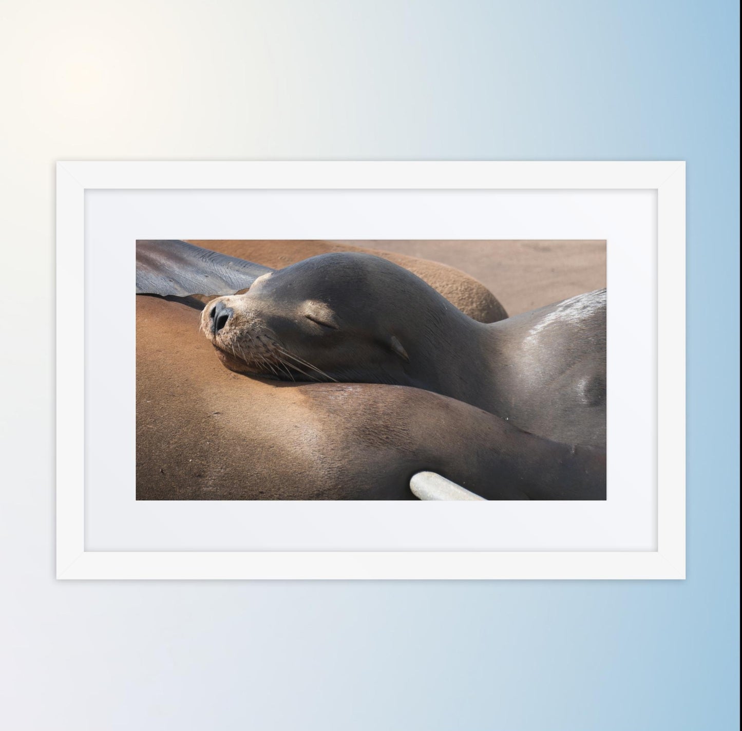 Coastal Cuddle (Matted Print)