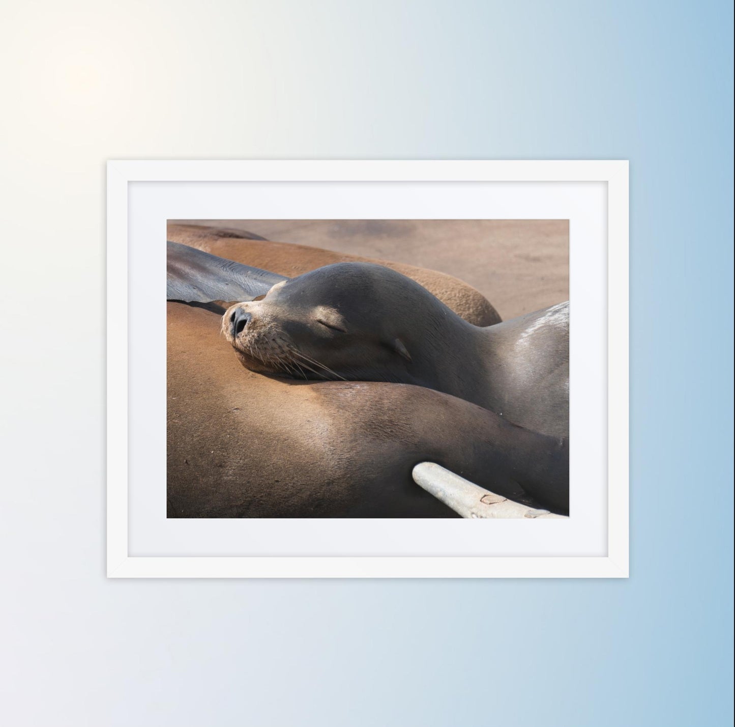 Coastal Cuddle (Matted Print)