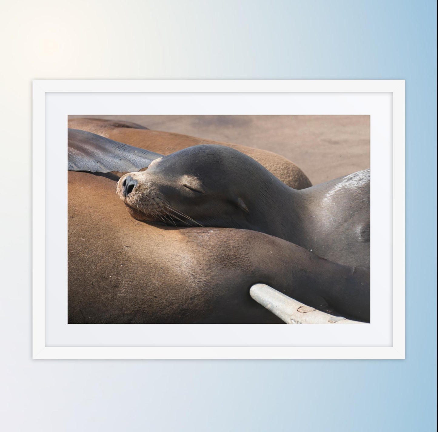 Coastal Cuddle (Matted Print)