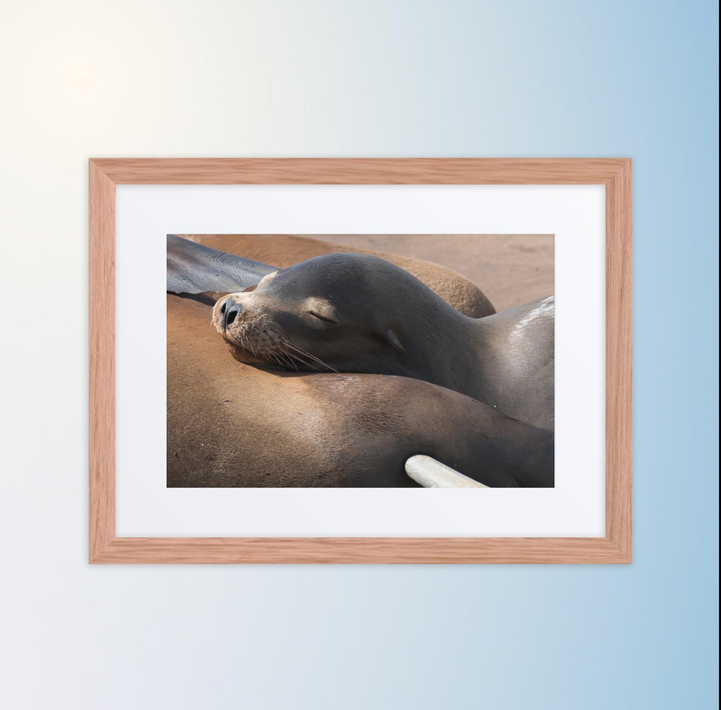 Coastal Cuddle (Matted Print)