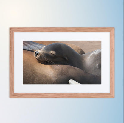 Coastal Cuddle (Matted Print)