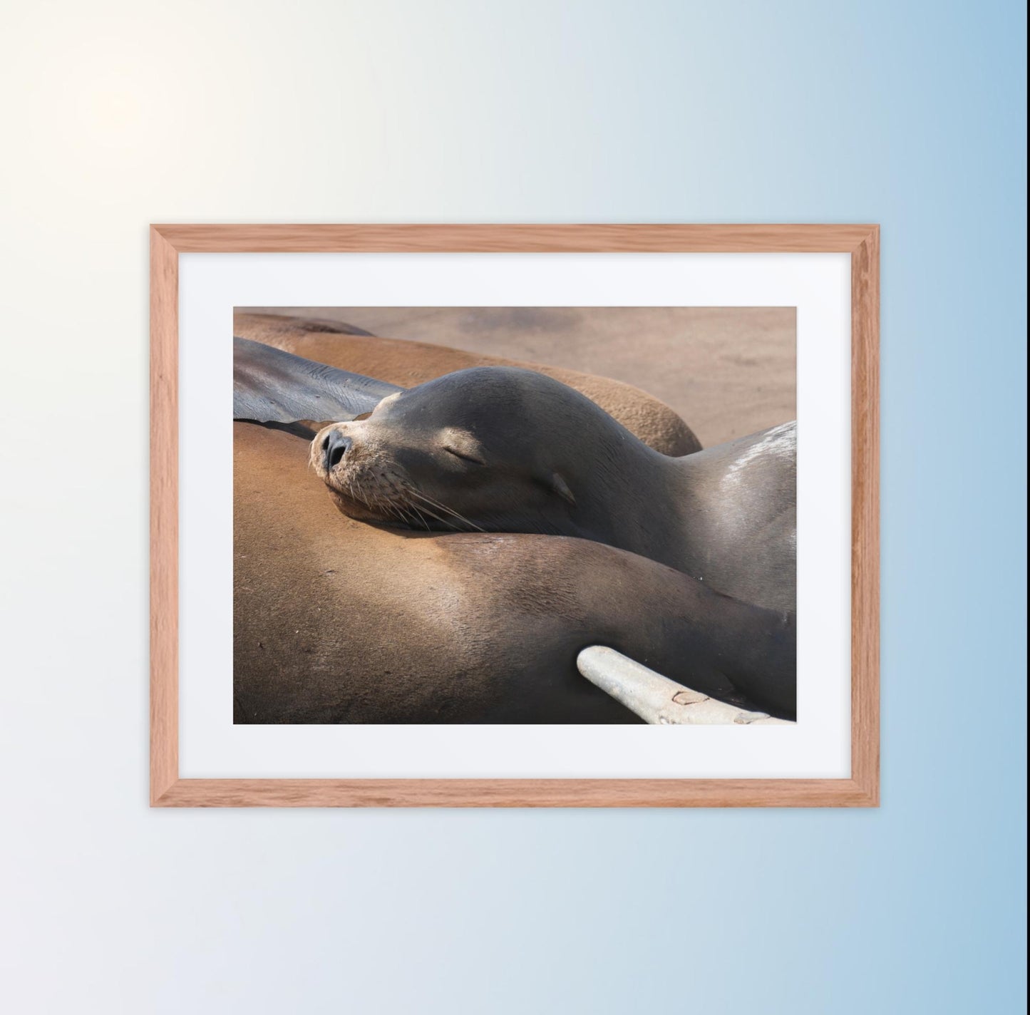 Coastal Cuddle (Matted Print)