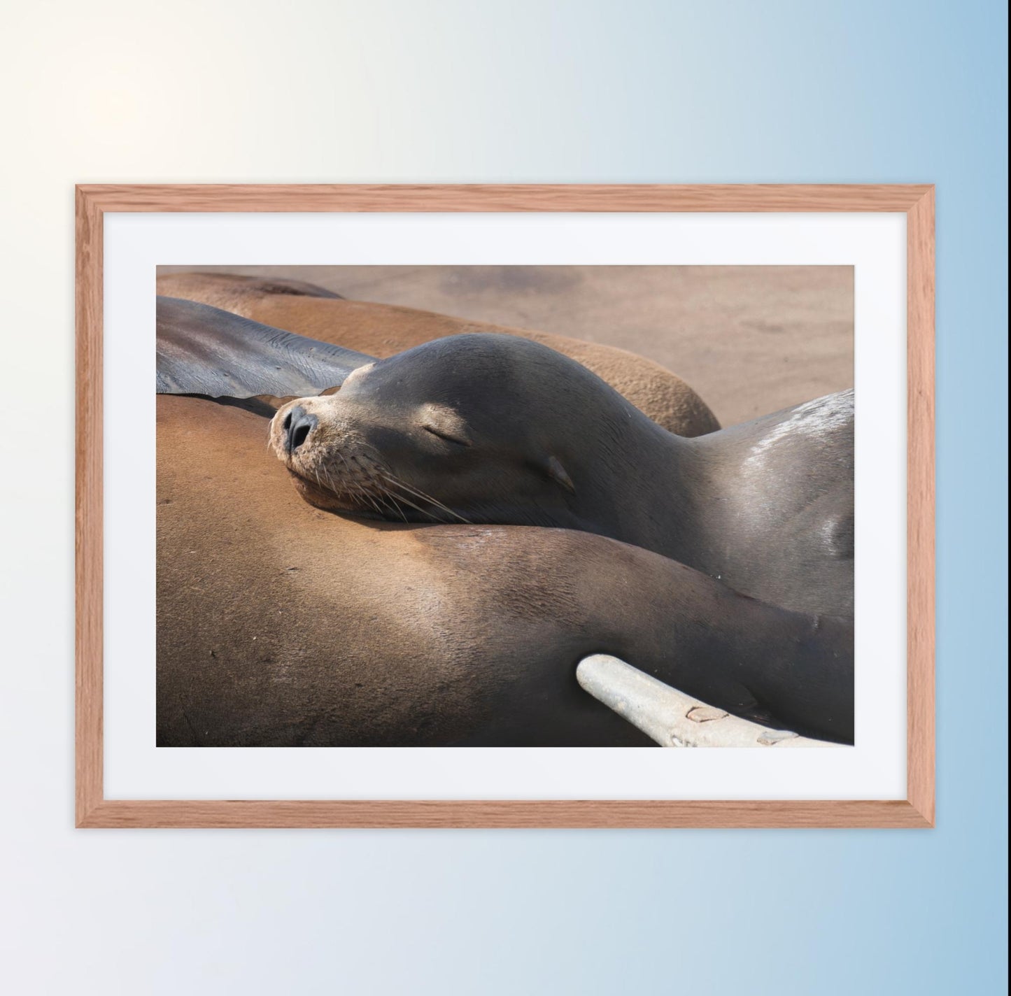 Coastal Cuddle (Matted Print)