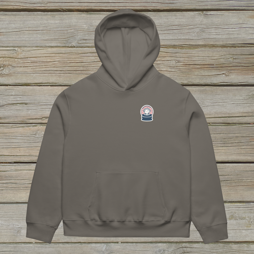 Admire from Afar Oversized Hoodie