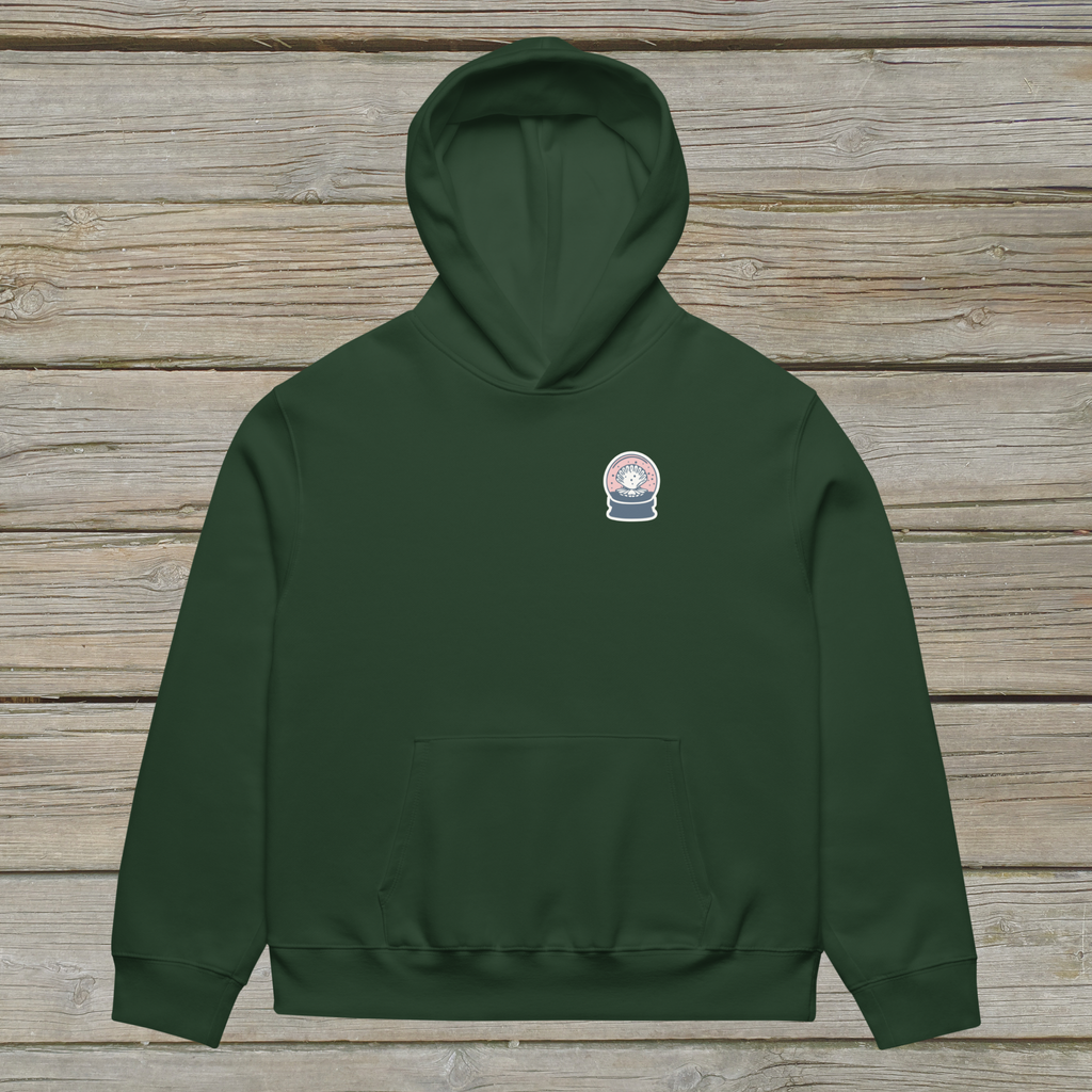 Admire from Afar Oversized Hoodie