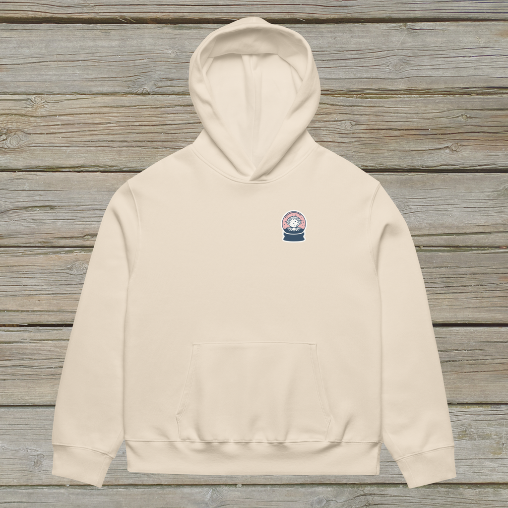 Admire from Afar Oversized Hoodie