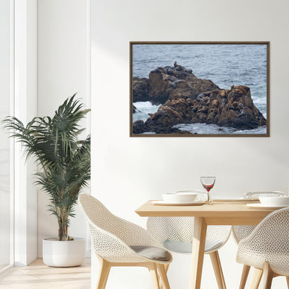 Rest Below Bird Rock (Framed Canvas)