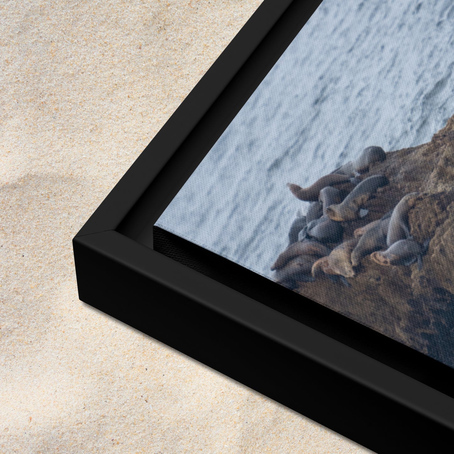 Rest Below Bird Rock (Framed Canvas)