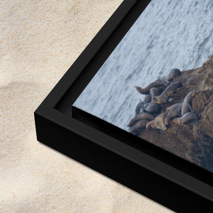 Rest Below Bird Rock (Framed Canvas)