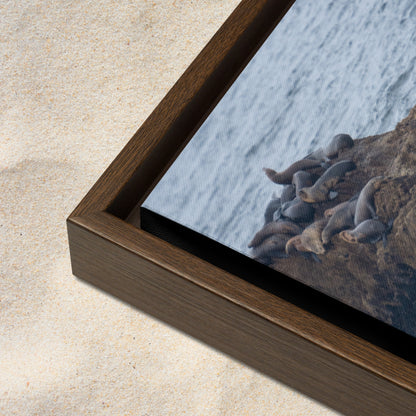 Rest Below Bird Rock (Framed Canvas)