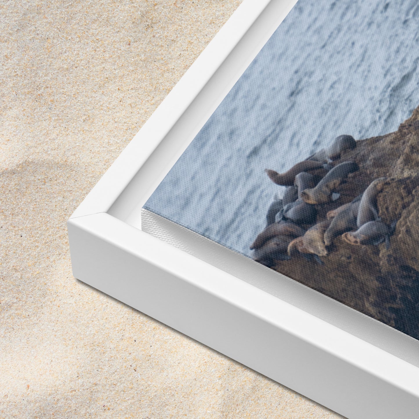 Rest Below Bird Rock (Framed Canvas)