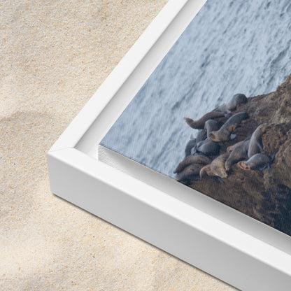 Rest Below Bird Rock (Framed Canvas)